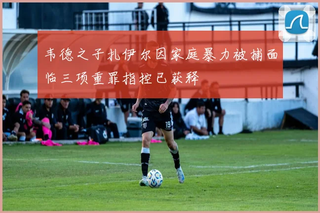 韦德之子扎伊尔因家庭暴力被捕面临三项重罪指控已获释
